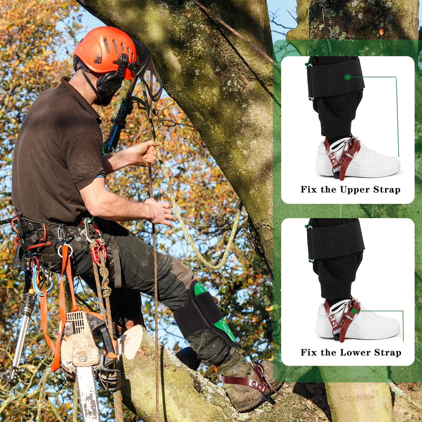 Professional Tree Climbing Spikes & Gaffs with Soft Padding - Adjustable Height Arborist Gear for Tree Climbing, Fruit Picking, Logging & Hunting Observation - Perfect for Outdoor Enthusiasts and Professional Climbers