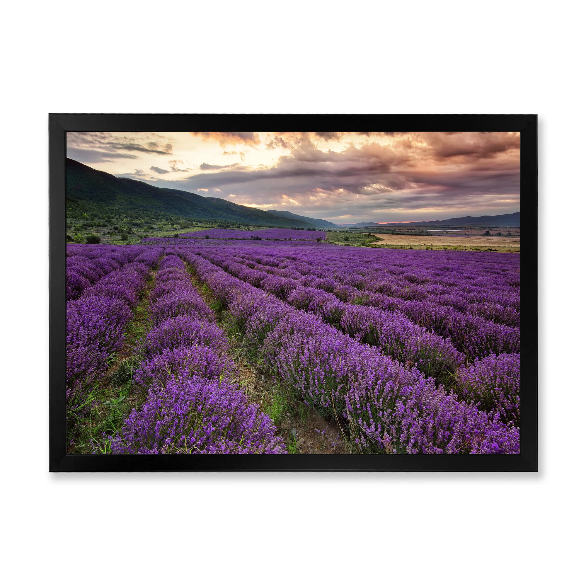 DesignQ Lavender Field At Dawn Framed Wall Art - Rustic Farmhouse Decor for Living Room, Bedroom & Office - Perfect for Home & Office Decor