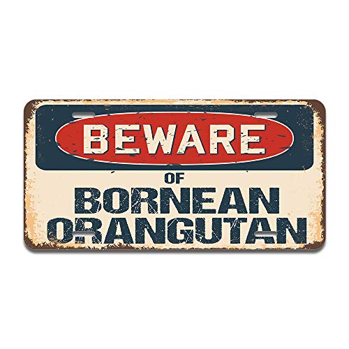 Beware of Bornean Orangutan