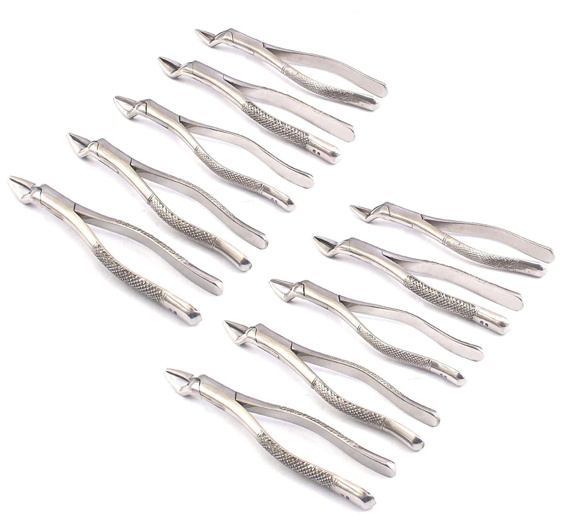 OdontoMed2011® 10 Pcs Dental Extraction Forceps for Upper Incisors - 65mm Alveolar Bone Teeth Removal Tool - Professional Dental Instruments for Dentists & Oral Surgeons - Perfect for Tooth Extractions & Dental Procedures