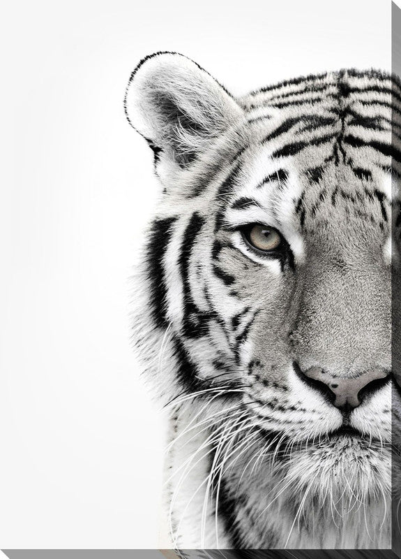 Colorless Tiger Canvas Wall Art - 30x45 Inches Modern Abstract Animal Painting for Living Room, Bedroom & Office Decor