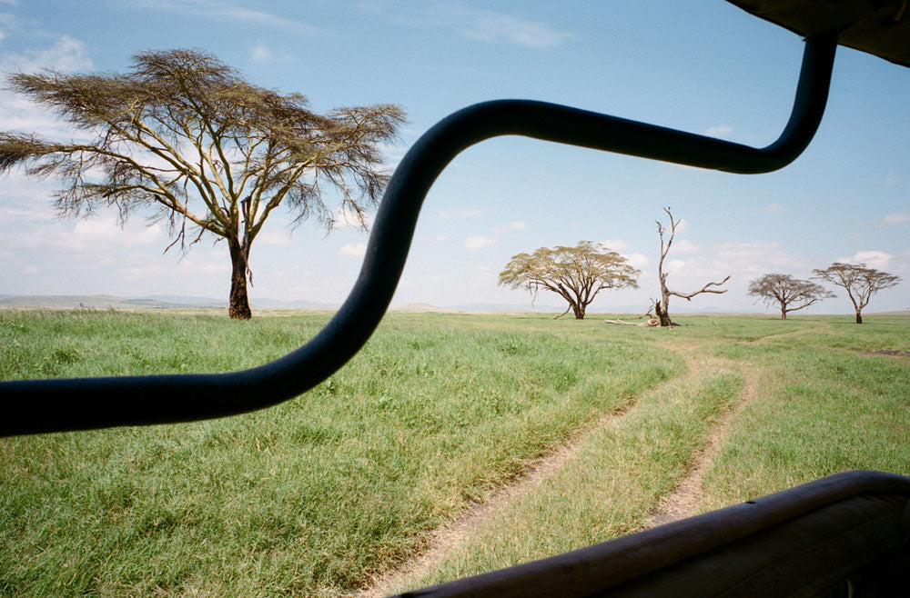 Kenya Wildlife Photo Safari & Conservation Tour - Jan 5-13, 2026 | African Adventure Photography Expedition for Nature Lovers