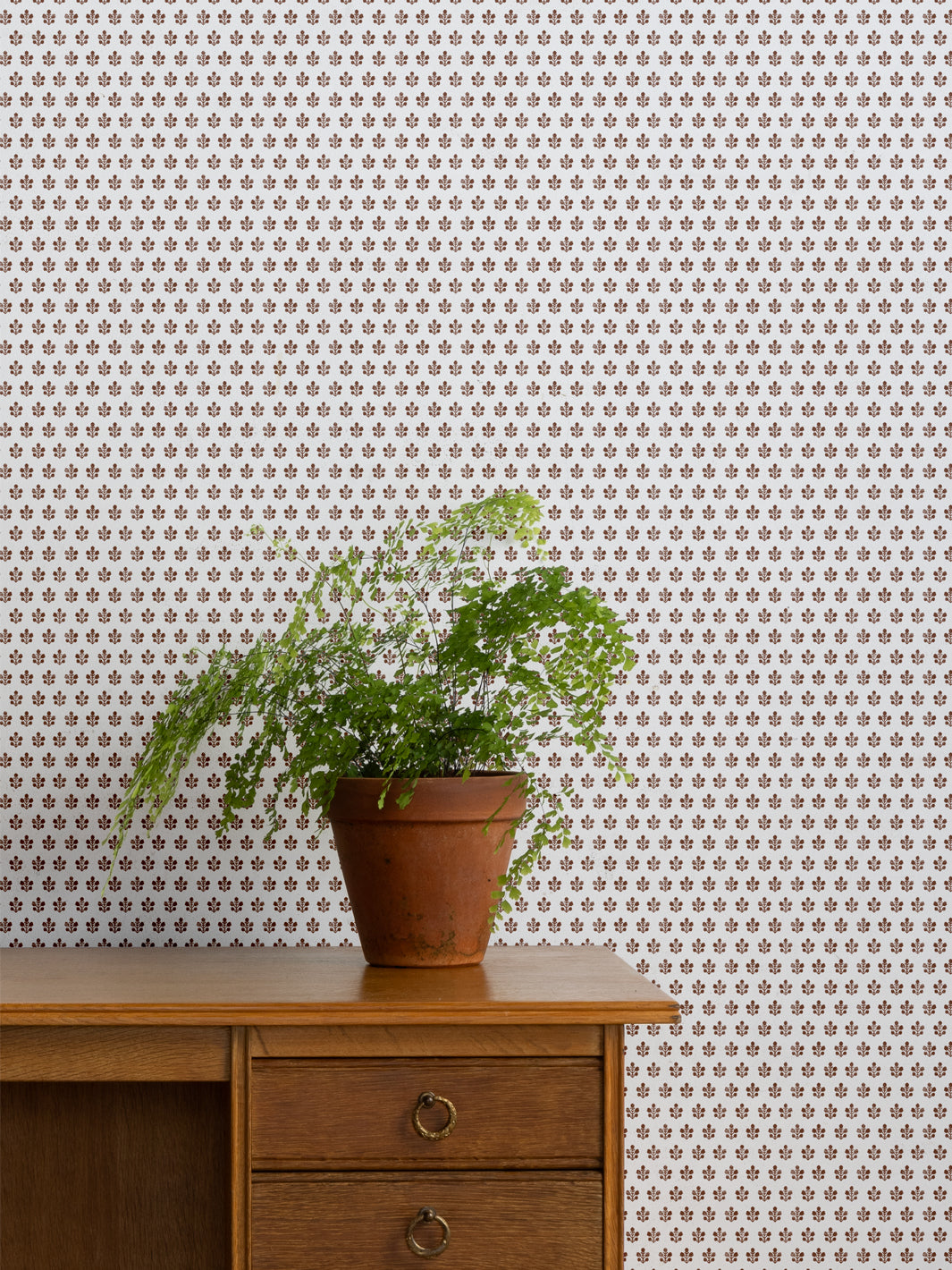 Ensley Petite White Ground Wallpaper by Sugar Paper - Elegant Chocolate Pattern Peel & Stick Wallpaper for Bedroom, Living Room Decor
