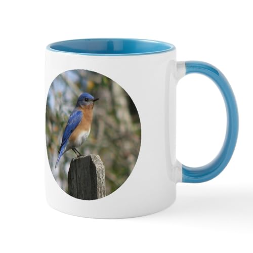 White/Blue Inside - Eastern Bluebird Mug