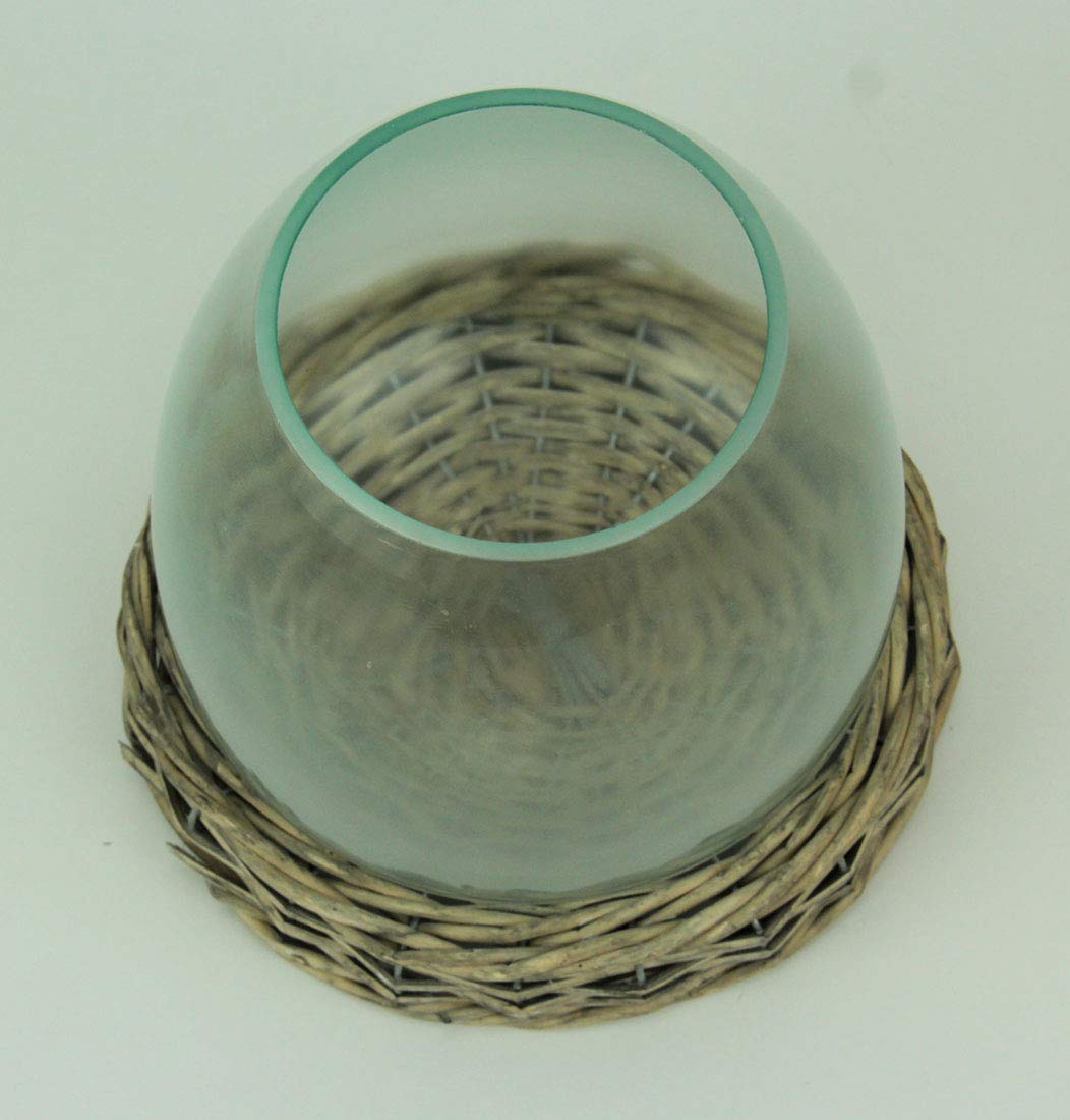 8 Inch Glass Terrarium Vase with Wicker Base - Perfect for Succulents, Air Plants & Home Decor | Ideal for Centerpieces, Wedding Decor & Indoor Plant Displays