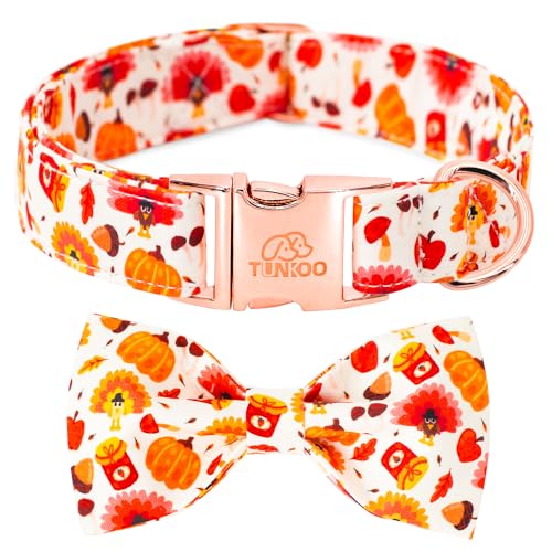 Thanksgiving Collar