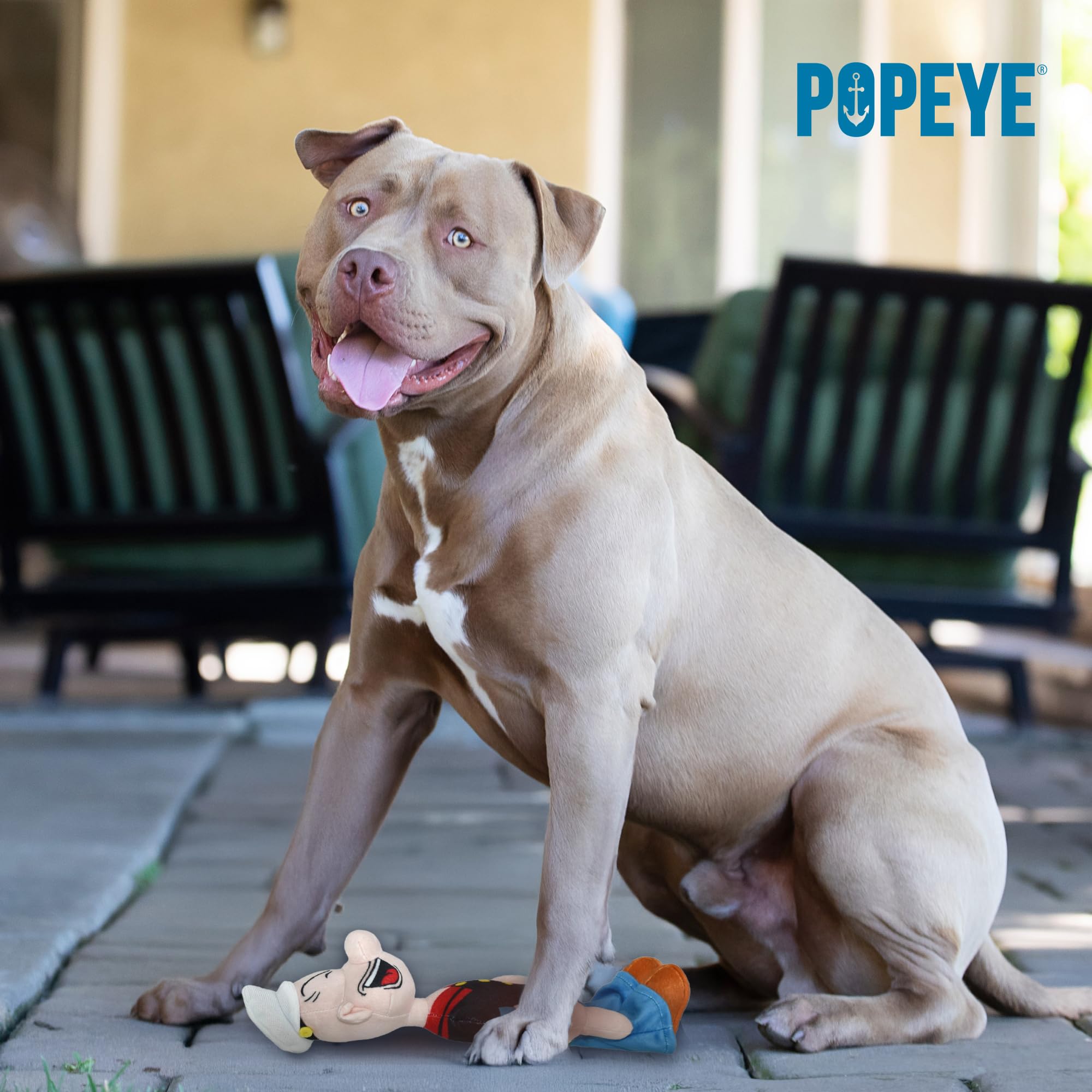 Multipet Popeye Dog Plush Toy - Extra Soft & Durable Chew Toy for Small, Medium & Large Dogs - 11 Inch Cuddling Stuffed Animal for Playtime & Comfort - Perfect for Indoor Play, Teething Puppies & Anxiety Relief