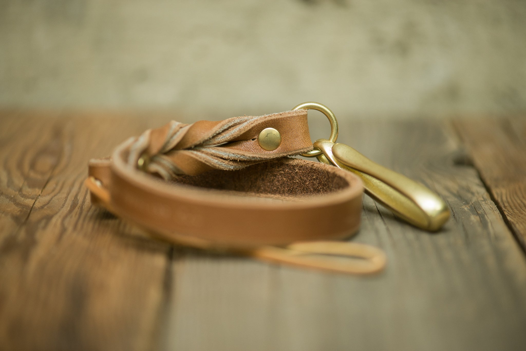 Arlo Tether Rio Latigo - Durable Dog Leash for Training & Walking | Perfect for Outdoor Adventures & Daily Walks