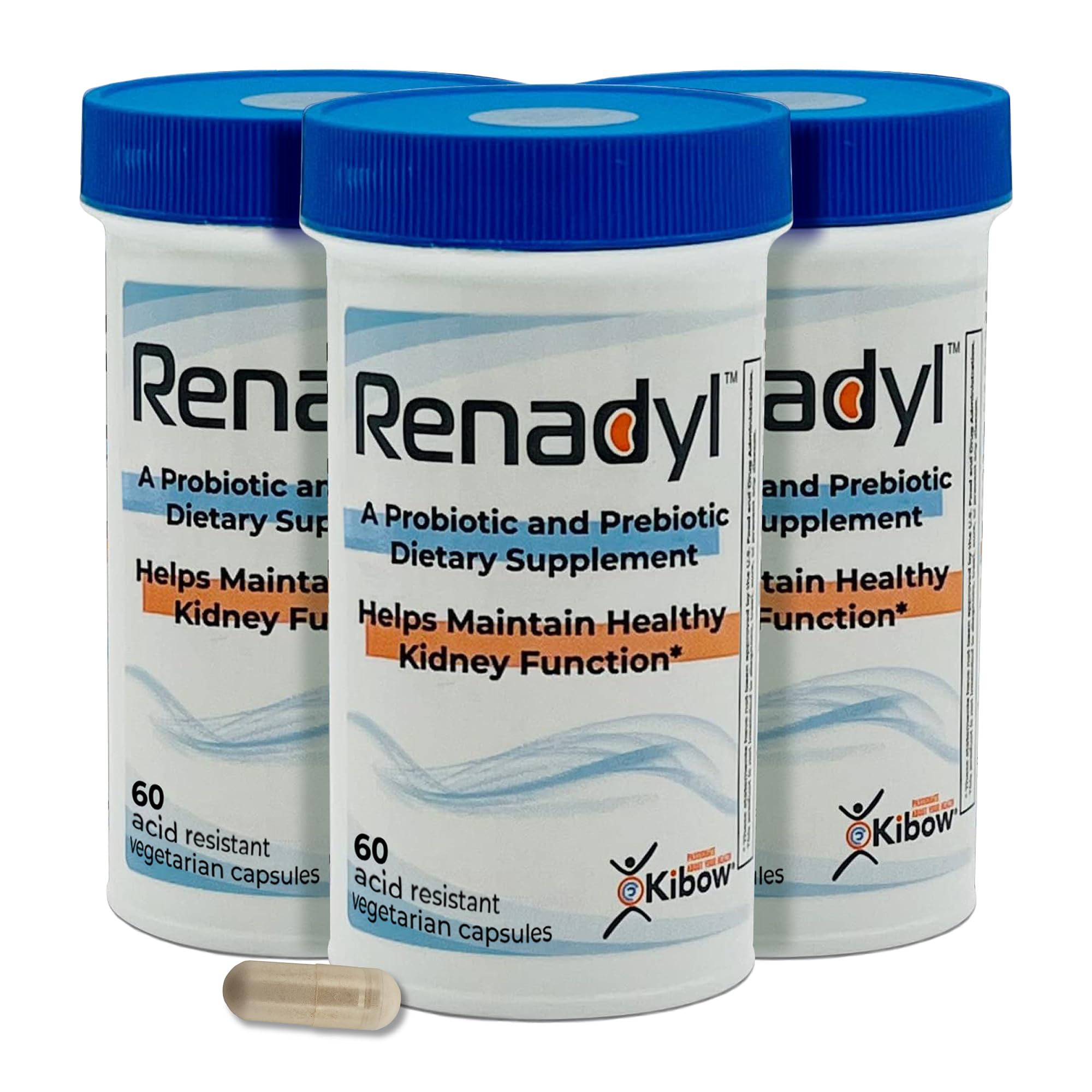 Renadyl Kidney Probiotic Supplement for Urea, Creatinine & Uric Acid Support | 45 Billion CFUs | Clinically Tested, Non-GMO, Made in USA | 180 Capsules (3 Bottles, 3 Month Supply) | Supports Kidney Health & Detox for Adults with Chronic Kidney Disease