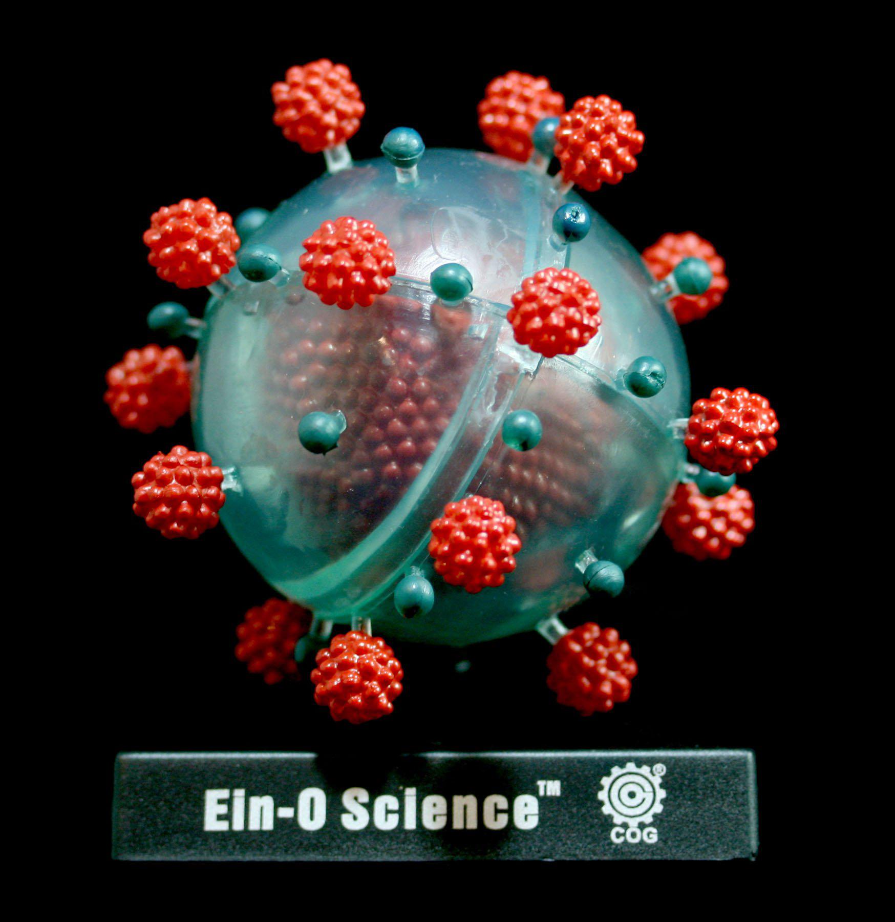 Bio Signs Interactive Virus Model - Educational Science Kit for Kids & Students - Perfect for Classroom Learning & STEM Activities
