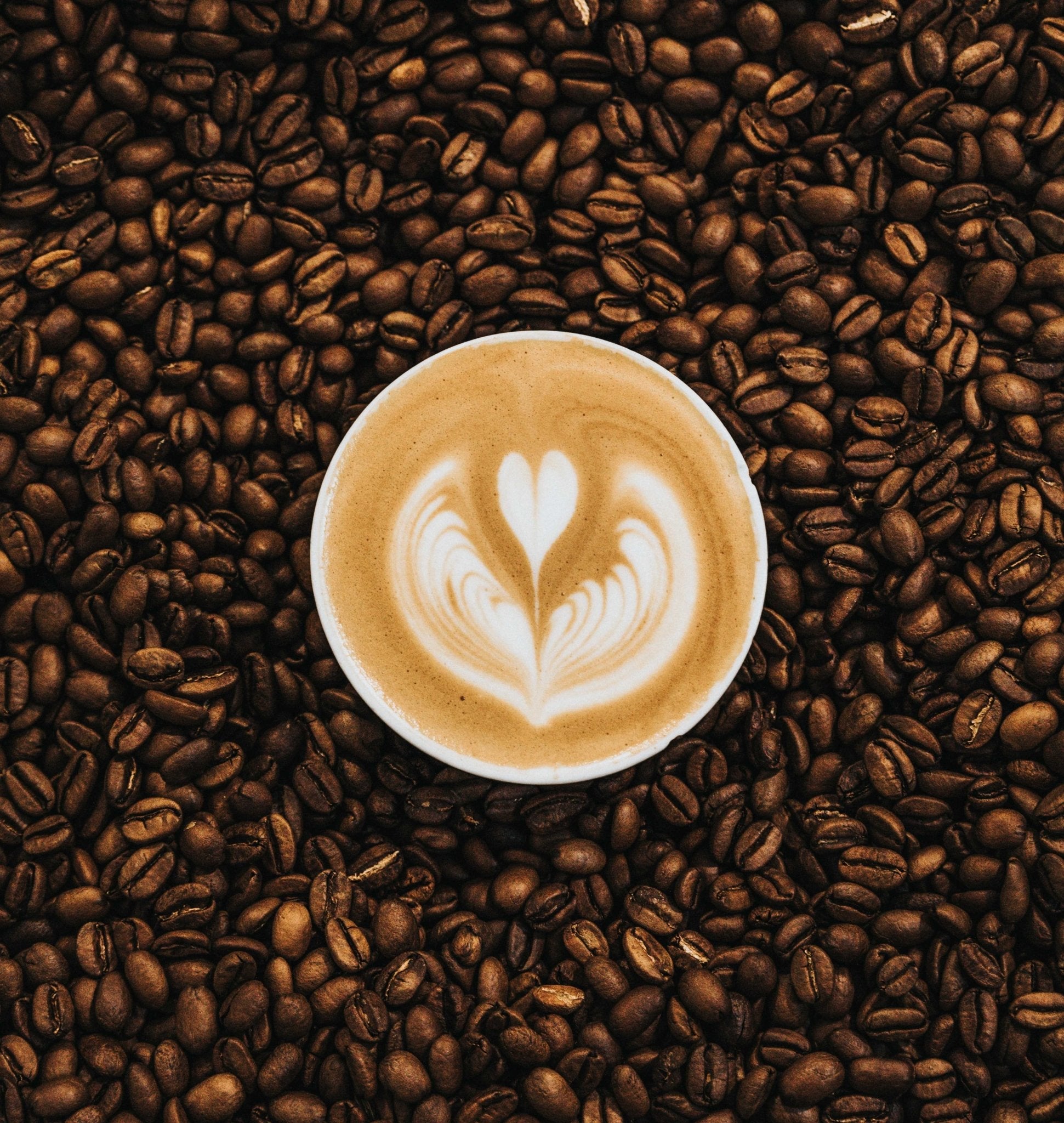 Premium Coffee Fragrance Oil for Candle Making, Soap & Diffusers - Rich Aroma for Home & Spa Relaxation