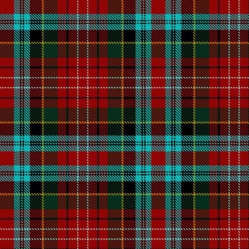 Caledonian Cameron Commando Tartan Kilt - Authentic Scottish Highland Dress for Men | Perfect for Weddings, Reenactments & Celtic Events