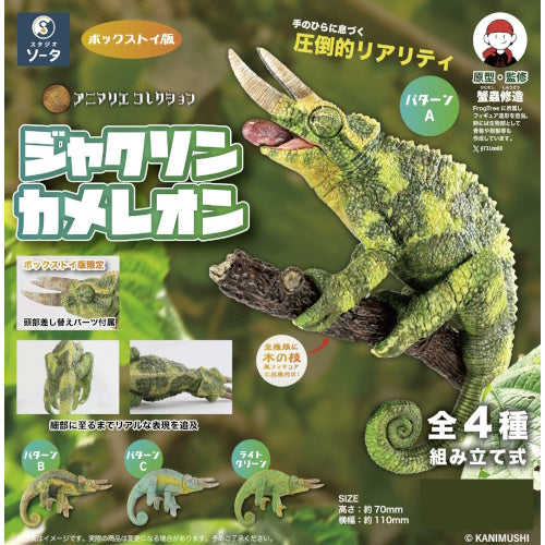 Jackson's Chameleon 5 Inch Mini Figure - Realistic Animal Collectible Toy for Kids & Adults | Perfect for Home Decor, Educational Play, and Reptile Enthusiast Collections