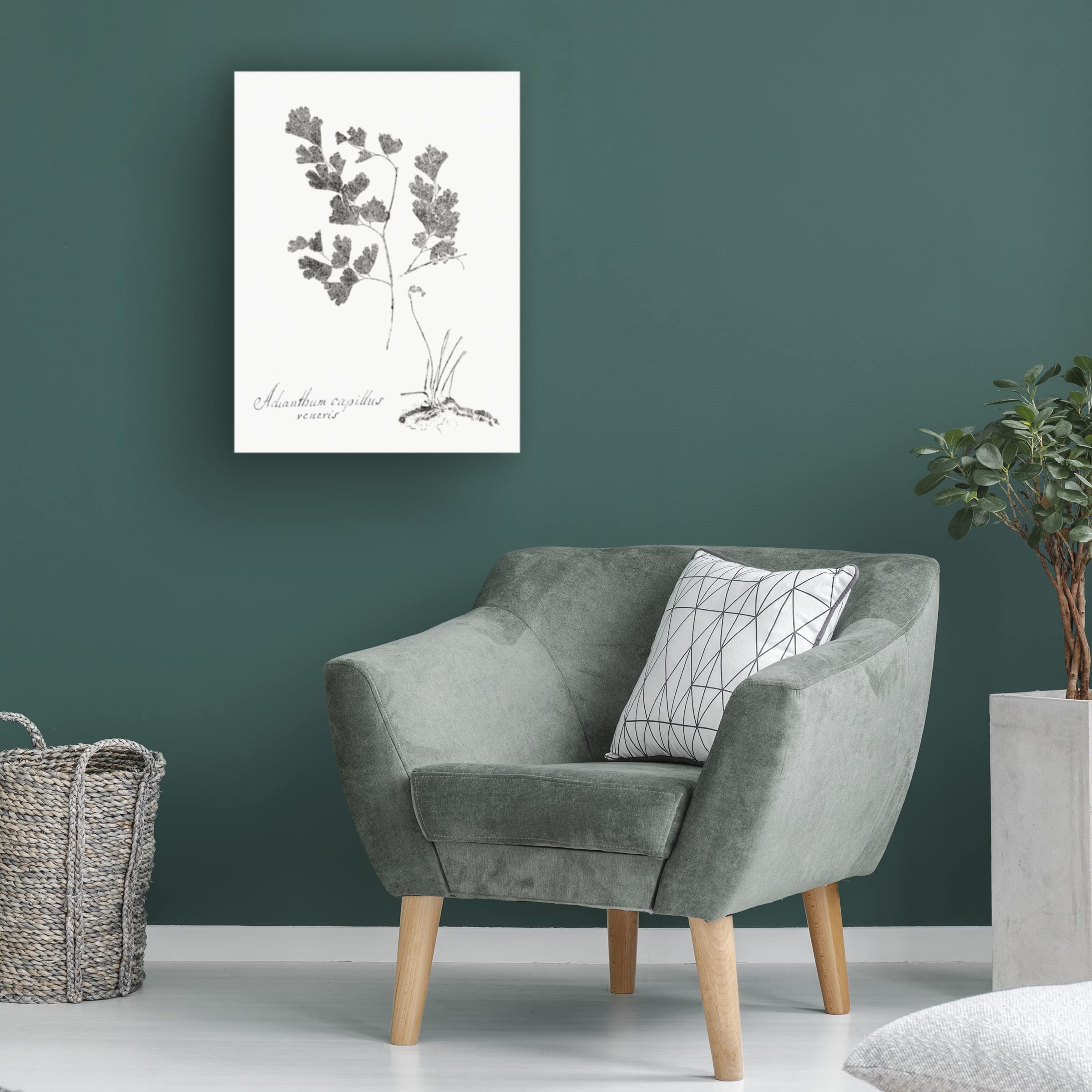 Trademark Fine Art 'Botanical Imprint I' Canvas Wall Art Print by Vision Studio - Nature Inspired Home Decor for Living Room, Bedroom & Office