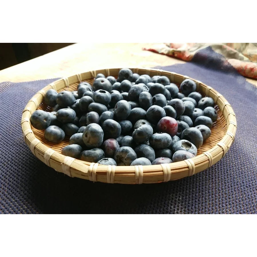 Premium Marushige Blueberry Drinking Vinegar 500ml - Organic Antioxidant Rich Beverage for Detox & Weight Loss - Perfect for Morning Routine, Salad Dressing & Healthy Cocktails