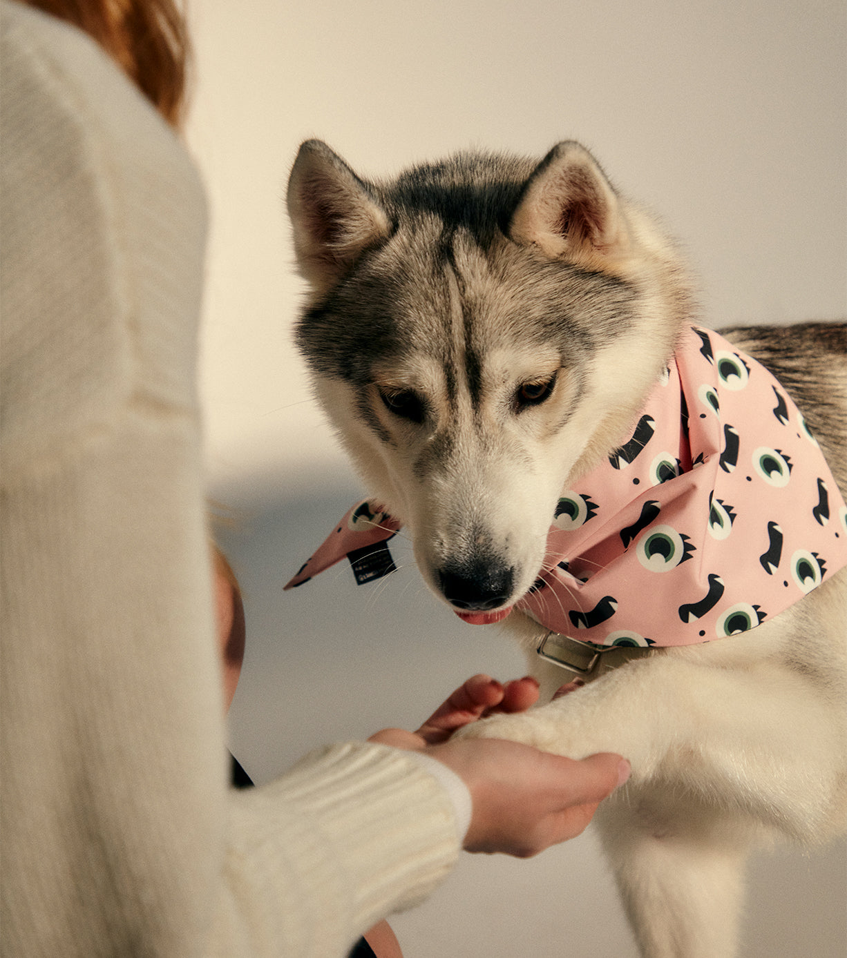 Stylish Pet Bandanas for Dogs & Cats - Soft & Comfortable Dog Bandana & Cat Scarf - Perfect for Holidays, Birthdays & Everyday Wear