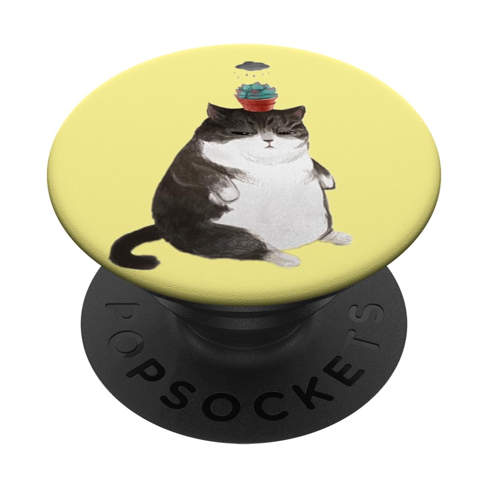 Rainy Day Maine Coon Cat Lovers PopSockets Standard PopGrip - Moody Cat Planting Pot - Perfect for Cat Lovers, Home Decor & Office Accessories