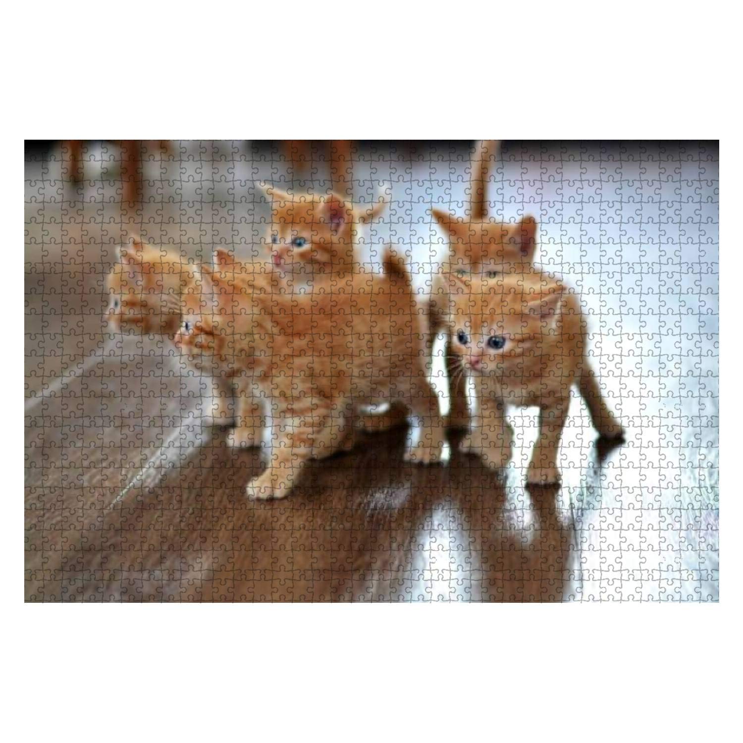 1000 Piece Wooden Jigsaw Puzzle - Adorable Little Red Kitten Playing on Floor - Educational & Stress Relief Toy for Kids & Adults | Perfect for Family Game Nights, Classroom Activities & Relaxation Therapy