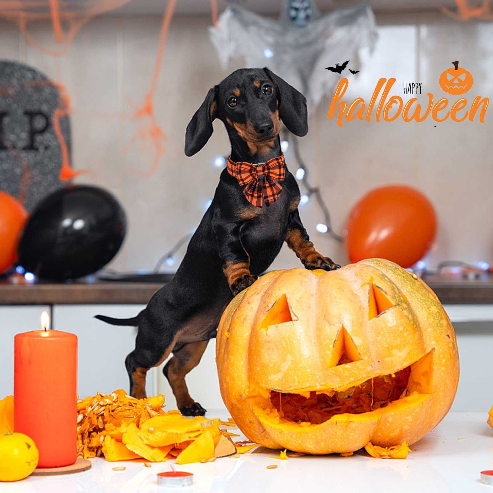ARING PET Adjustable Dog Collar with Detachable Bow Tie - Fall Orange Grid Pattern, Metal Buckle for Halloween & Special Occasions - Perfect for Costumes, Parties & Daily Walks