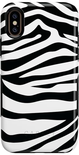 Into the Wild | Zebra