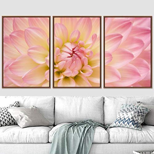 Pink and Yellow Dahlia Flower Framed Canvas Wall Art - Modern Floral Photography in Duotone for Living Room, Bedroom, Office Decor - 3 Panels 24