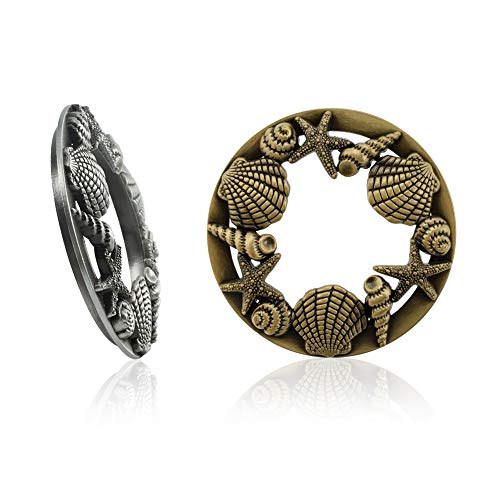 Shell & Starfish