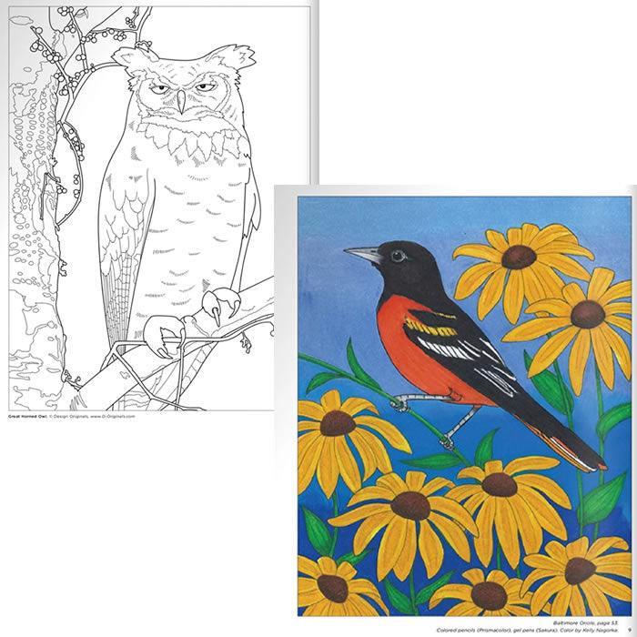 Birds at Home Coloring Book for Adults & Kids - Fun Bird Facts & Relaxing Art Activity | Perfect for Gifts, Education & Stress Relief