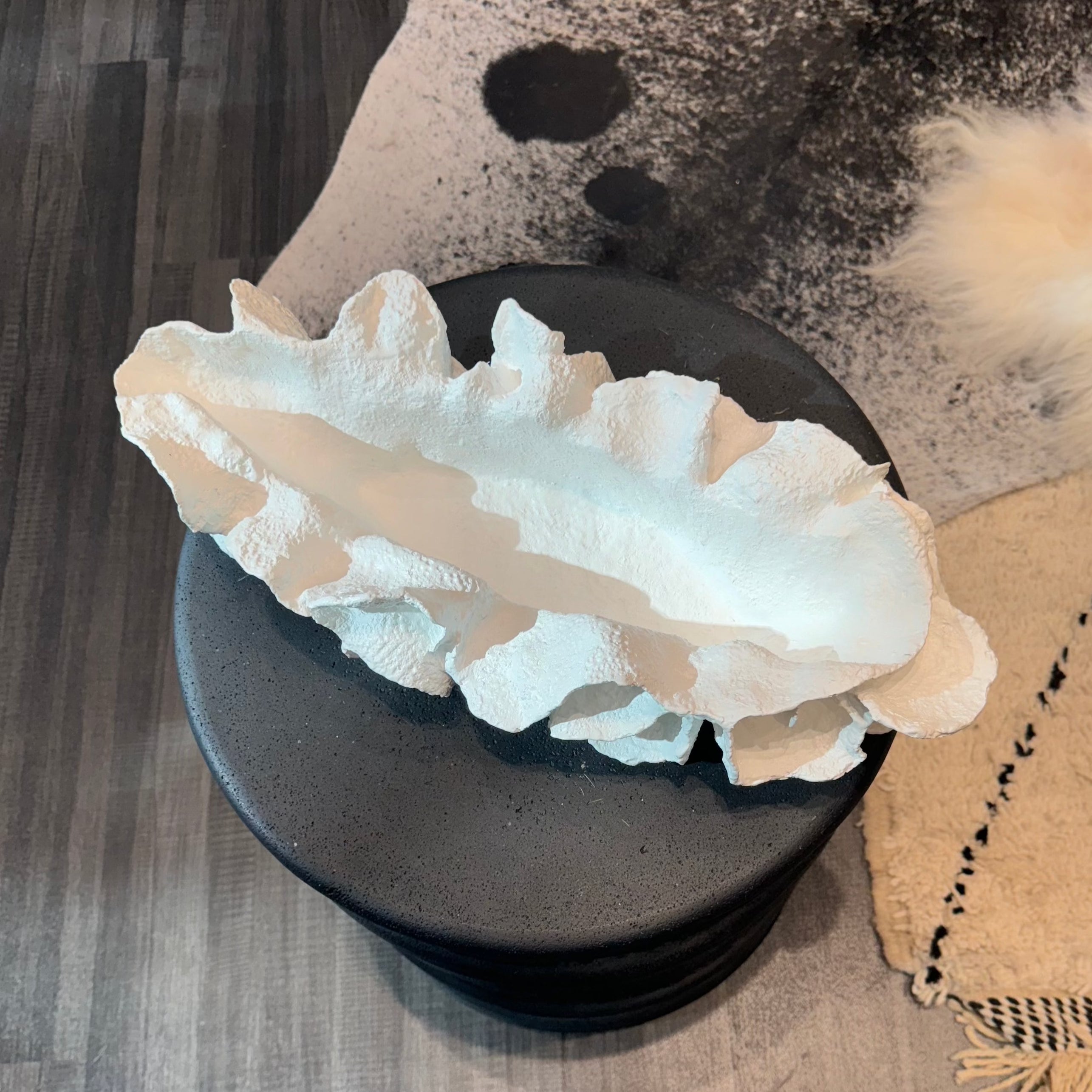 White Faux Coral Coco Tray - Multiple Size & Style Options - Perfect for Beach Themed Decor, Bathroom Organizer & Coastal Home Accessories