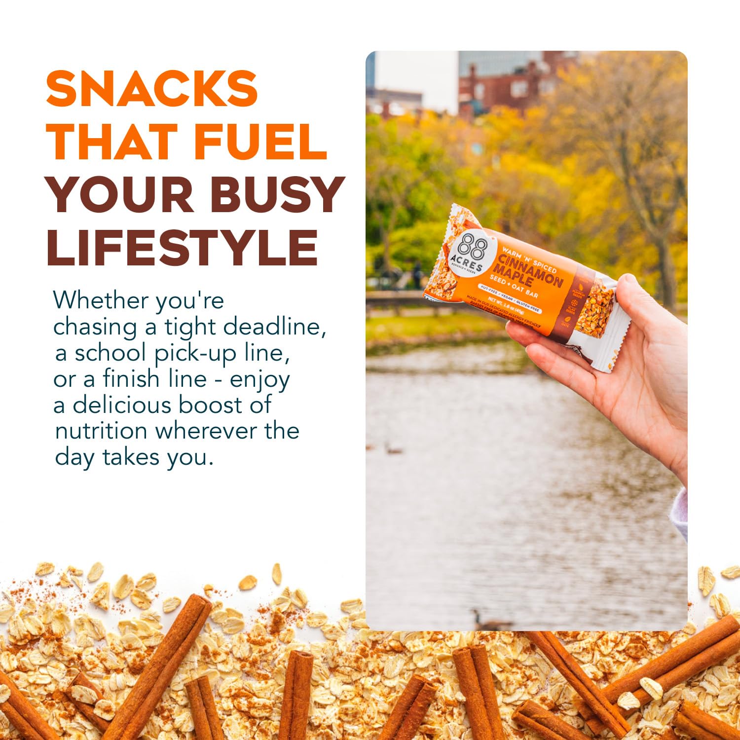 88 Acres Gluten Free Granola Bars - Nut-Free Oat & Seed Snack Bars, Vegan & Non-GMO, 6 Pack (Cinnamon Maple Flavor) | Healthy Breakfast & On-the-Go Snack for Kids & Adults