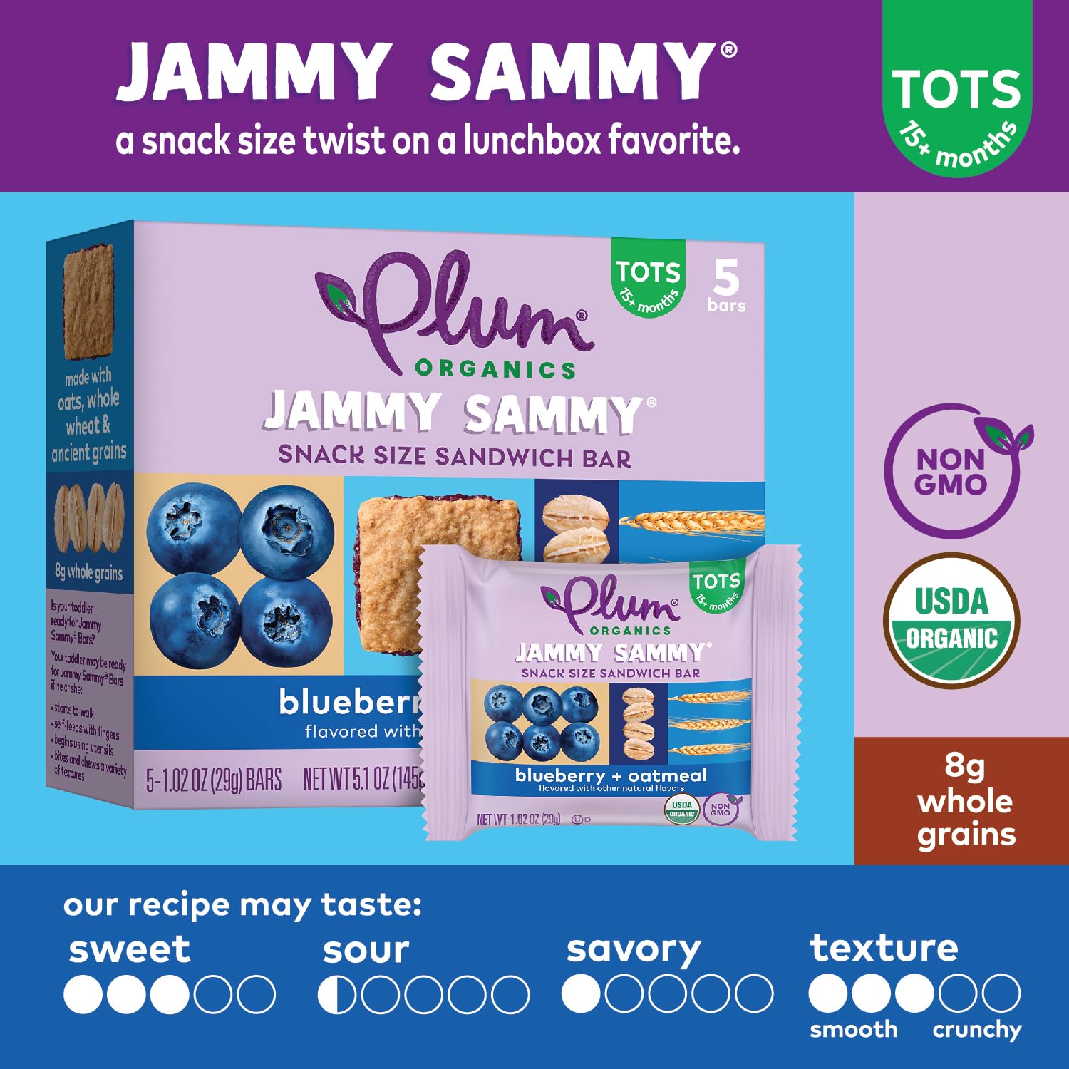 Organic Blueberry Oatmeal Toddler Snack Bars - Pack of 5 for On-the-Go Nutrition