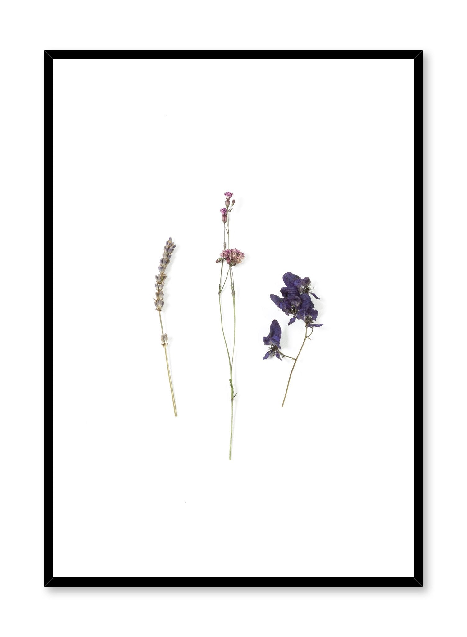 Premium Mauve Dried Flowers for Home Decor | Natural Dried Bouquets for Wall Art, Wedding Centerpieces & Boho Room Decor