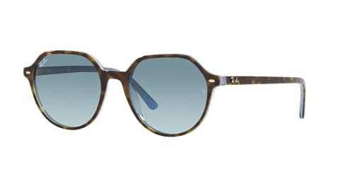 Havana on Light Blue/Blue Gradient Grey