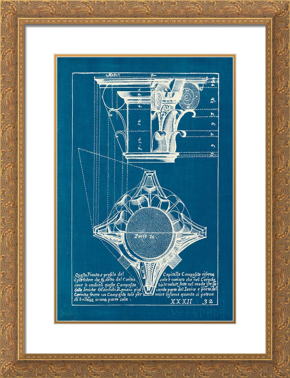 15x18 Gold Ornate Framed Wild Apple Portfolio - Double Matted Museum Art Print of Architectural Drawings | Perfect for Home Office Decor, Living Room Wall Art, and Gift Ideas