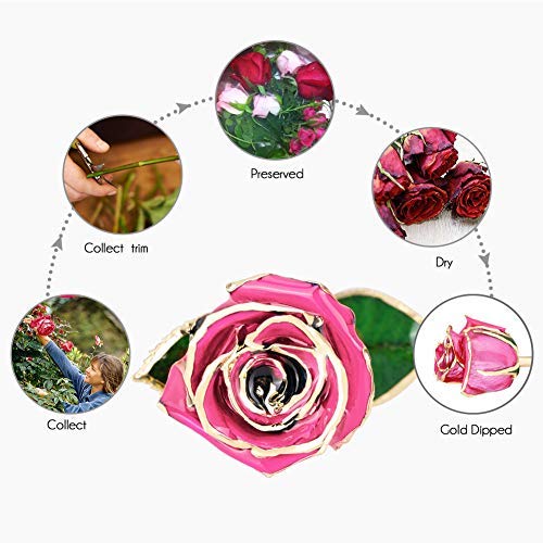 24K Gold Dipped Real Preserved Rose - Eternal Flower Gift for Women, Wife, Mom, Grandma | Perfect for Valentine's Day, Anniversary, Christmas | Romantic Home Decor & Special Occasion Present