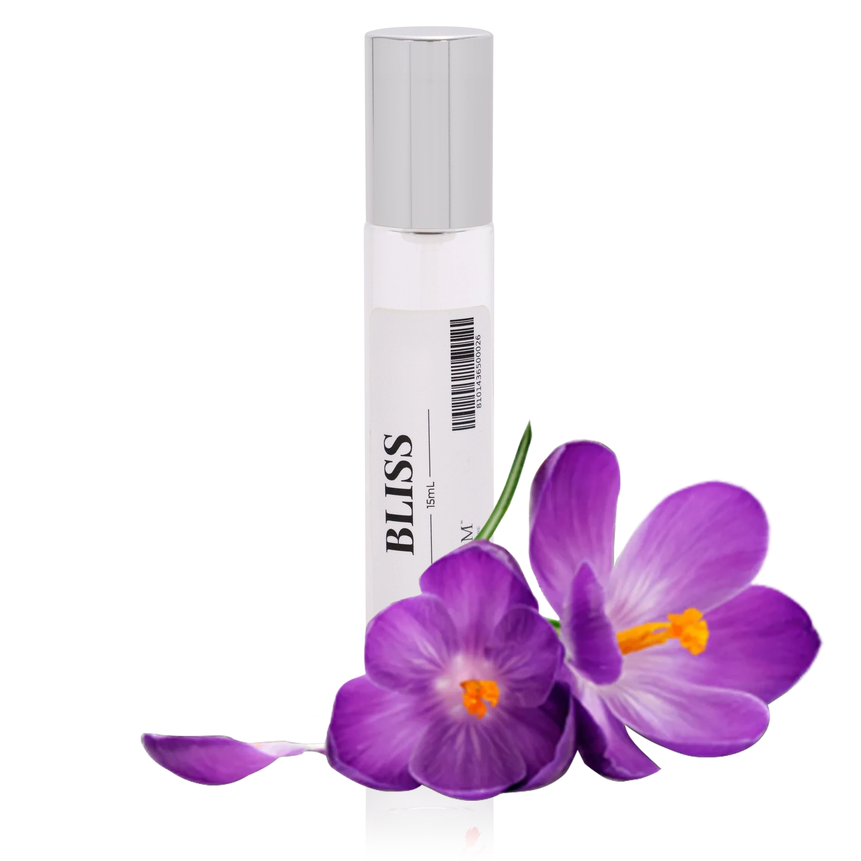 iGROOM Bliss Perfume & Cologne for Men - Long Lasting Fragrance | Perfect for Date Night, Office & Special Occasions