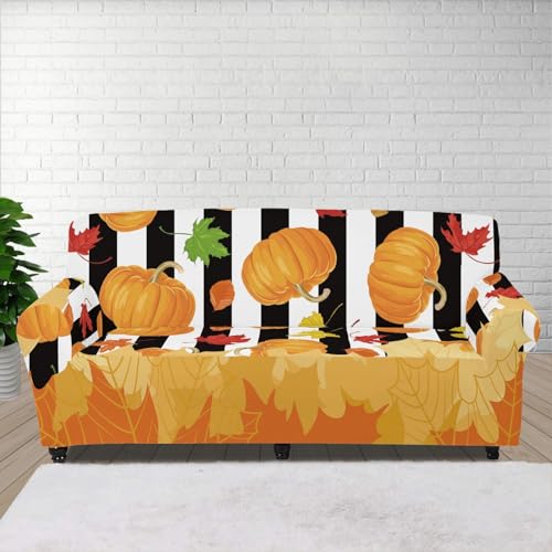 Autumn Pumpkin