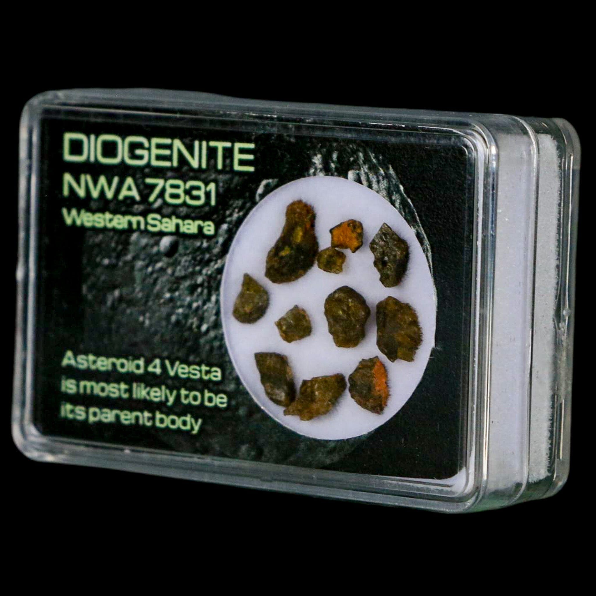 Diogenite Meteorite Specimen from Asteroid 4 Vesta - NMW 7831 Western Sahara Display Piece for Collectors & Science Education | Perfect for Home Decor, Museum Displays & Astronomy Enthusiasts