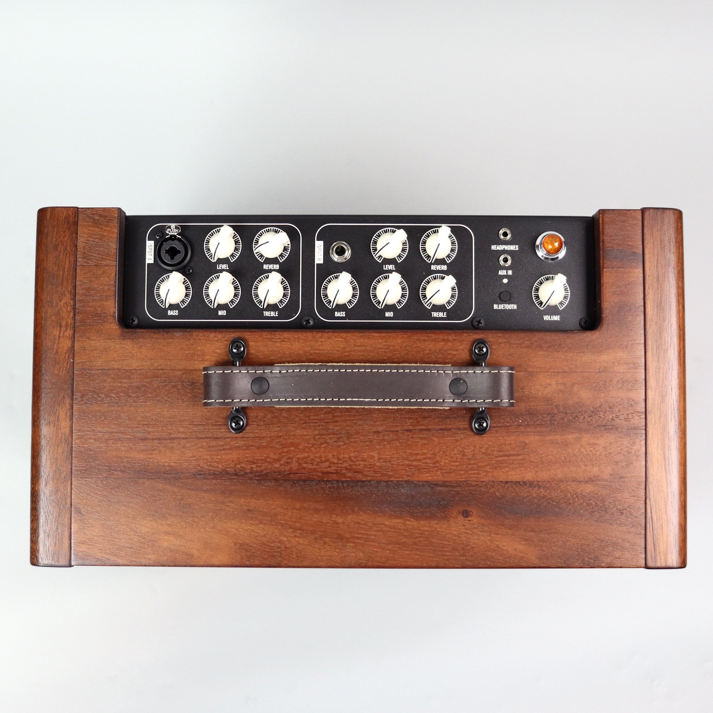Taylor Circa 74 Acoustic Guitar & Vocal Amplifier with Stand - Perfect for Live Performances, Studio Recording & Home Practice