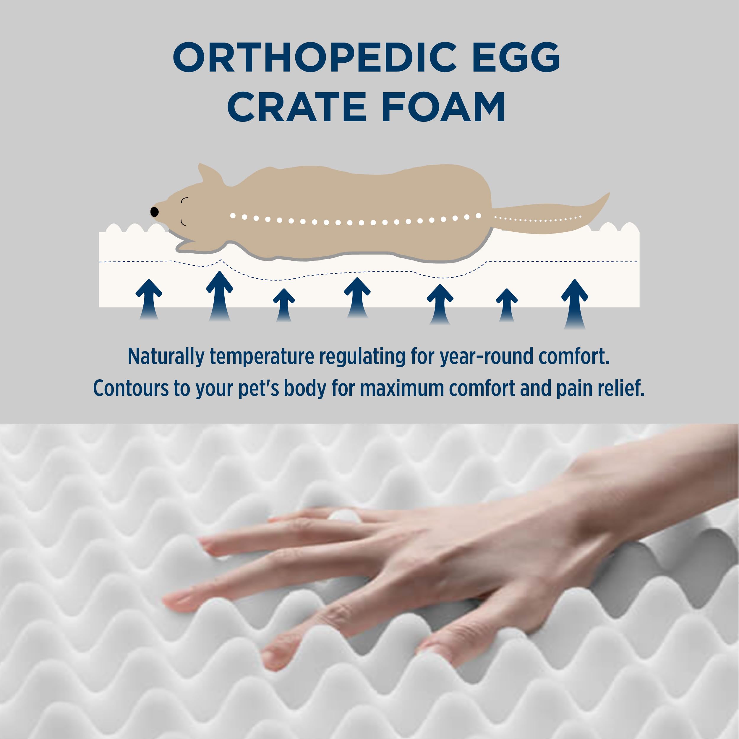 Bedsure Orthopedic Dog Bed for Extra Large Dogs - Egg Foam Support, Waterproof Washable Cover, Plush Velvet Surface, Non-Slip Bottom - Perfect for Large Breed Dogs, Senior Pets & Joint Pain Relief - Ideal for Living Room, Bedroom & Pet-Friendly Spaces