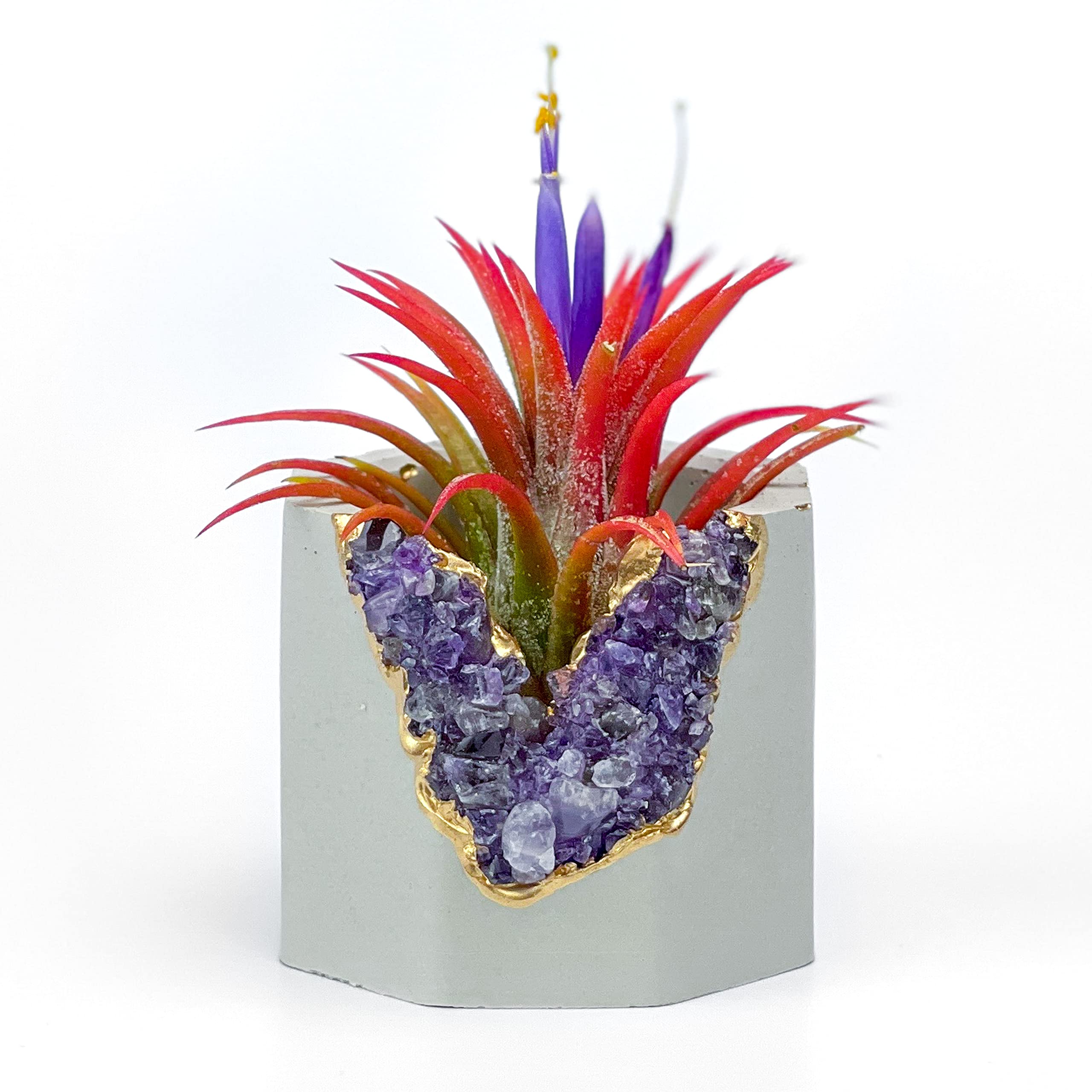 Geode Planter - Unique Air Plant Holder with Raw Amethyst Crystal | Mini Succulent Pot in Purple & Gold | Small Cactus Planter & Healing Crystal Candle Holder for Home Decor, Office Desk, Meditation Space & Gift Ideas