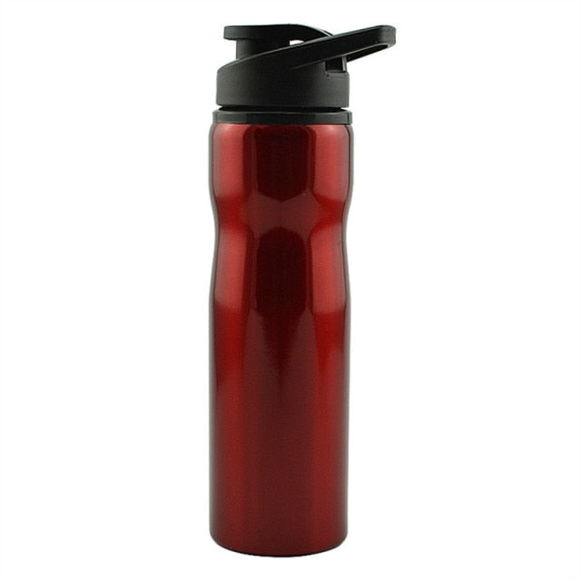 750ML BPA-Free Stainless Steel Insulated Water Bottle - Portable Outdoor Sports & Hiking Canteen with Handle & Leak-Proof Lid - Perfect for Camping, Gym, Travel & Everyday Use