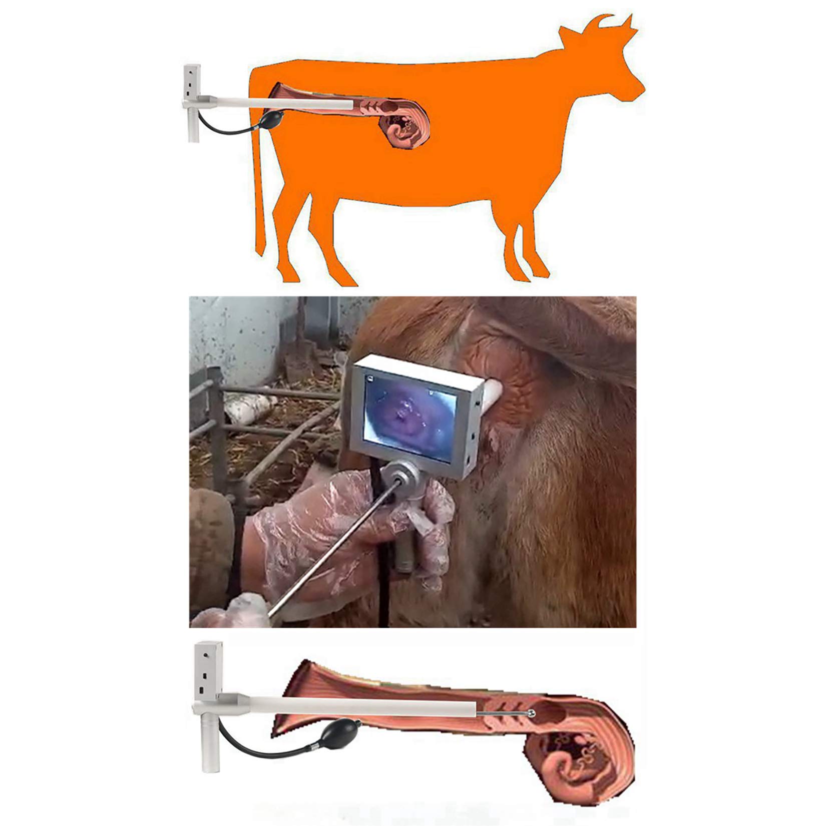 iDili Visual Endoscope Sperm Gun - Artificial Insemination Kit for Cattle, Horse, Pig, Deer, Dog & Fox Breeding | Veterinary AI Tool for Livestock & Pet Reproduction