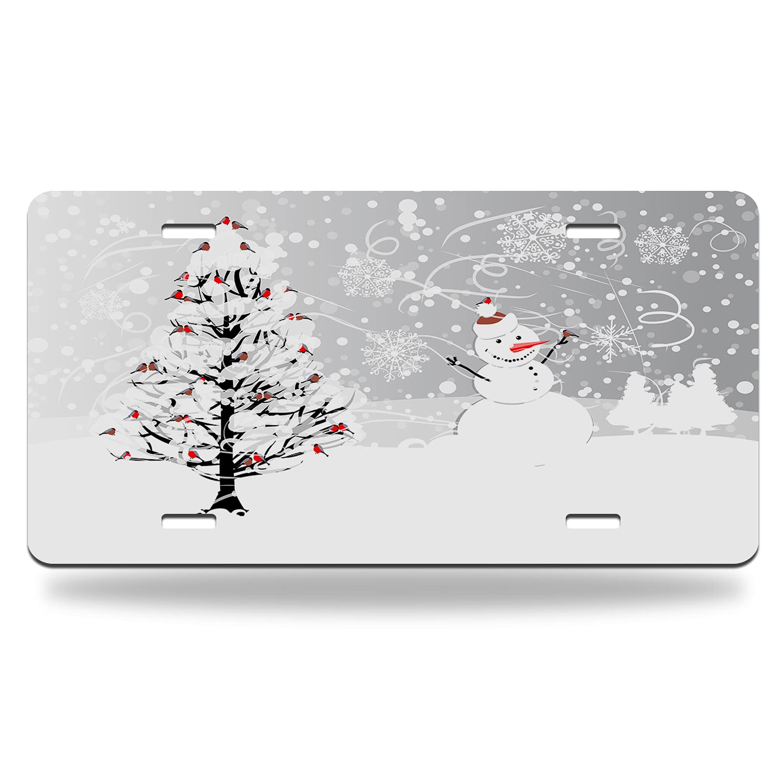 WONDERTIFY 12
