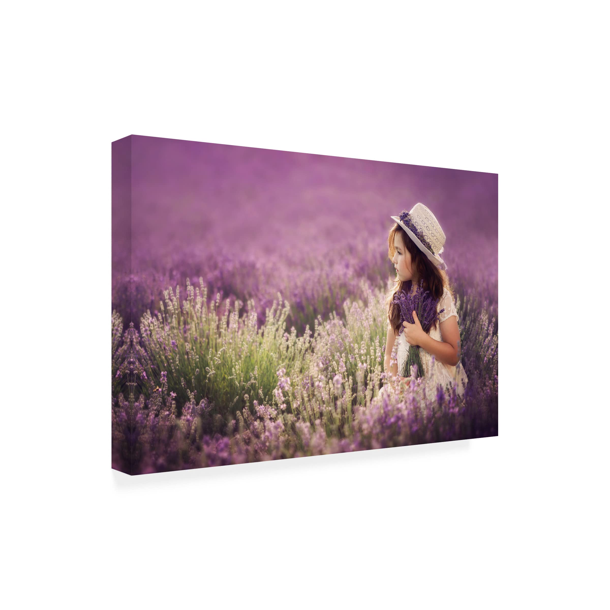 Trademark Fine Art 'Lili' Canvas Wall Art by Jana Kvaltinova - Hand-Painted Floral Home Decor for Living Room, Bedroom & Office
