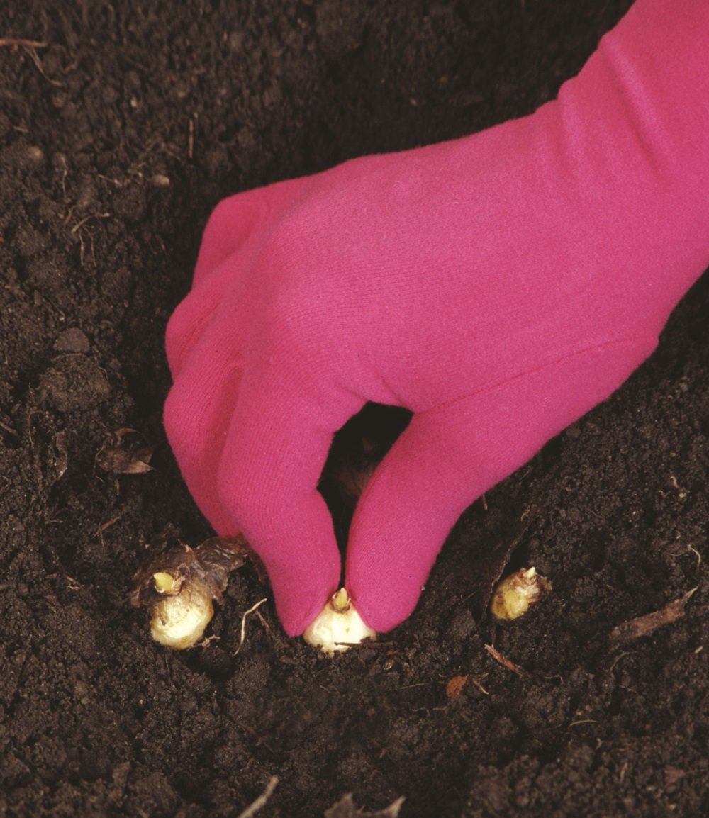 Best Gardening Gloves for Women & Men - Durable, Breathable & Comfortable for Planting, Weeding & Outdoor Work - Perfect for Home Garden, Landscaping & Farm Use