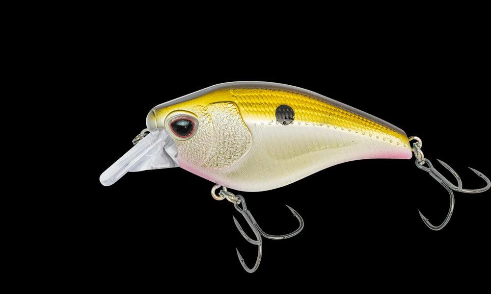 Nomad Atlas 55 Square Bill Crank Floating Fishing Lure - Topwater Bass Fishing Bait for Freshwater & Saltwater - Perfect for Casting, Trolling & Shore Fishing