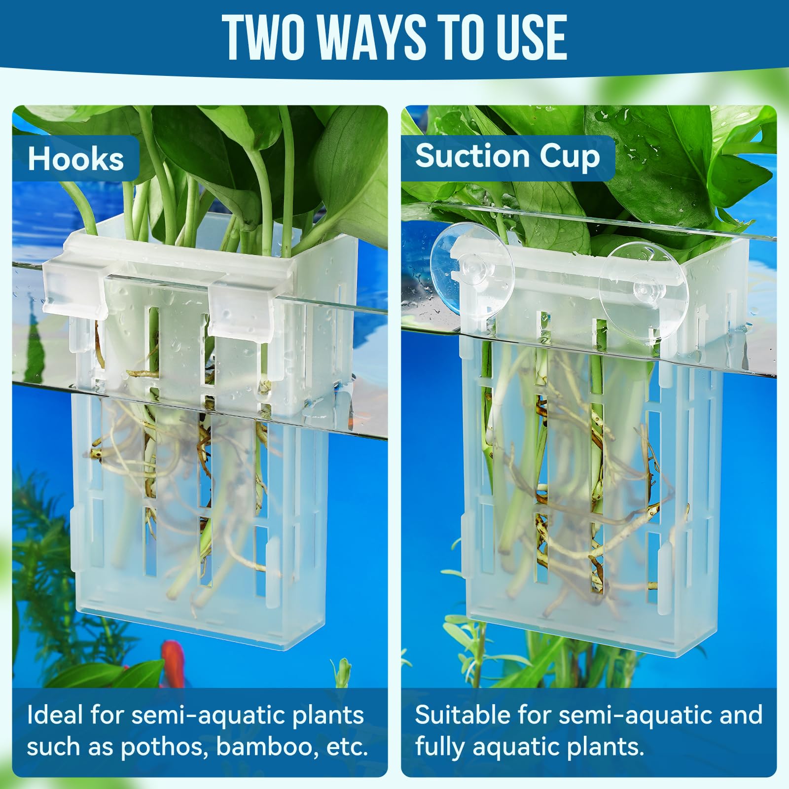 Upgraded Aquarium Plant Holder with Hooks & Suction Cups - Clear Fish Tank Accessories for Aquascaping, Aquaponics & Decoration - Perfect for Freshwater & Saltwater Tanks, Plant Cultivation & Underwater Decor