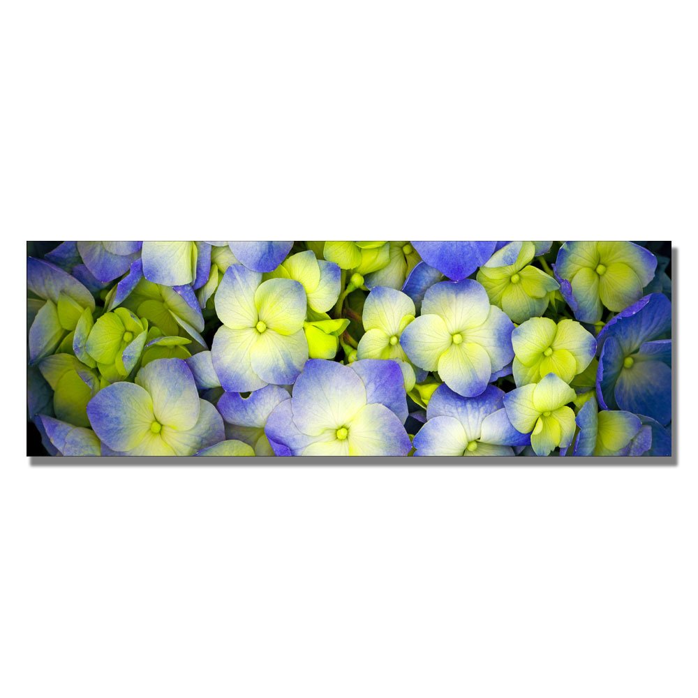 Preston Hydrangeas Canvas Art - 8x24 Inch Floral Wall Decor, Handmade Fine Art Print for Living Room, Bedroom & Office