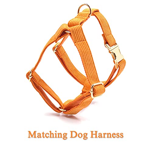 PETDURO Personalized Dog Collar with Name Engraved Gold Buckle - Custom Stripe Velvet Collar for Small Medium Large Dogs | Matching Leash & Bow Tie Set | Perfect for Daily Walks, Training & Special Occasions