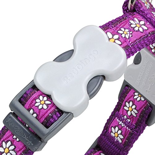 Premium Red Dingo Daisy Chain Purple Dog Harness - Large Size, Adjustable & Comfortable Pet Walking Gear for Medium to Large Dogs - Perfect for Daily Walks, Hiking & Outdoor Adventures